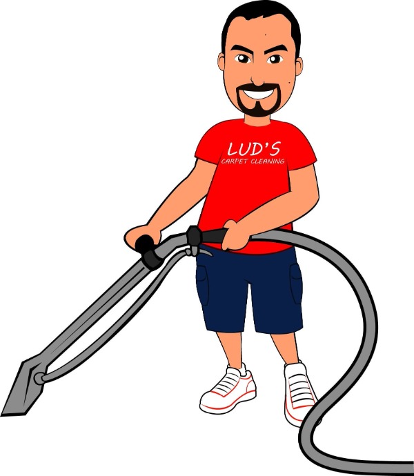 Lud's Carpet Cleaning