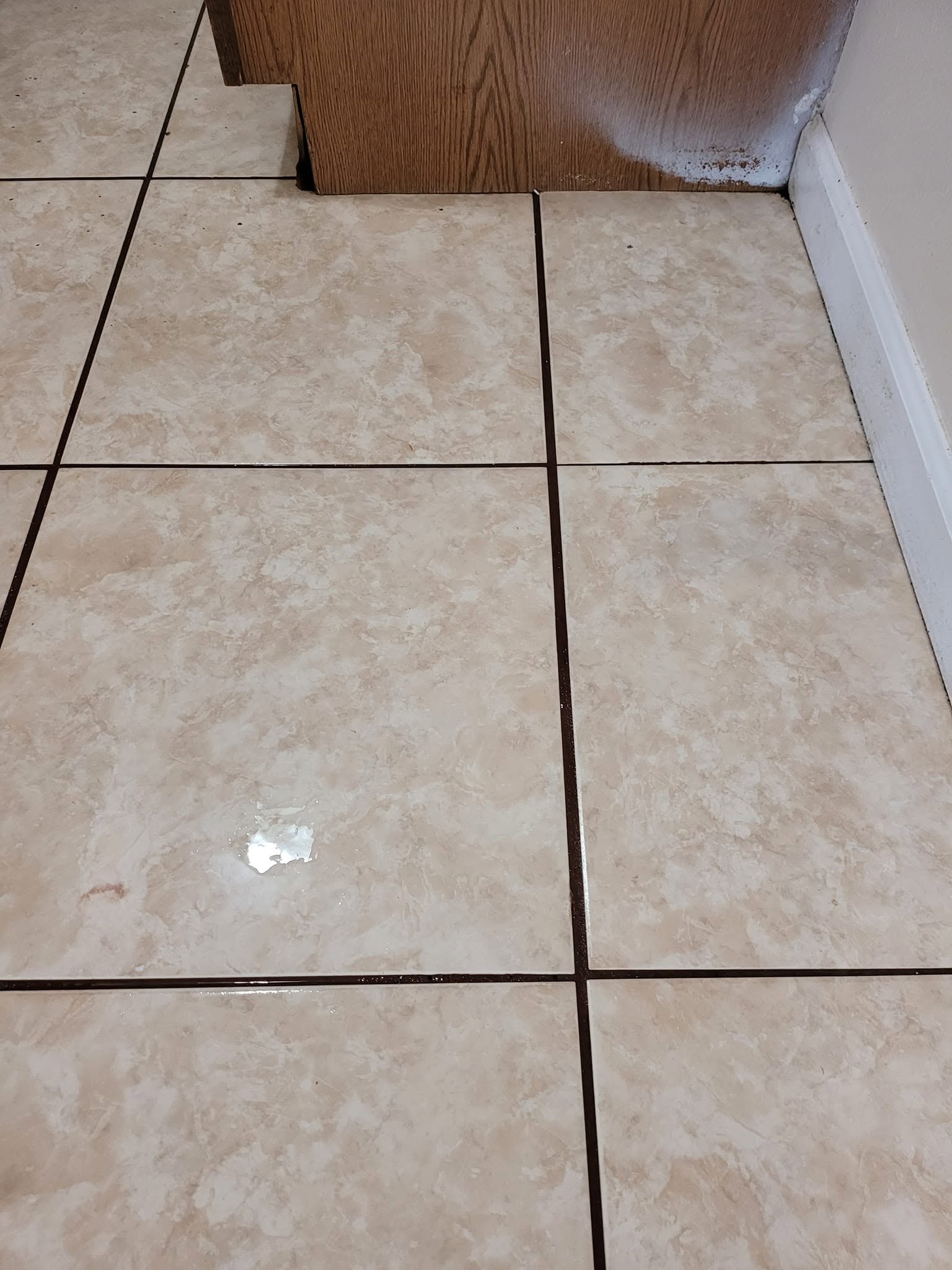 Tile professionally cleaned by Lud's