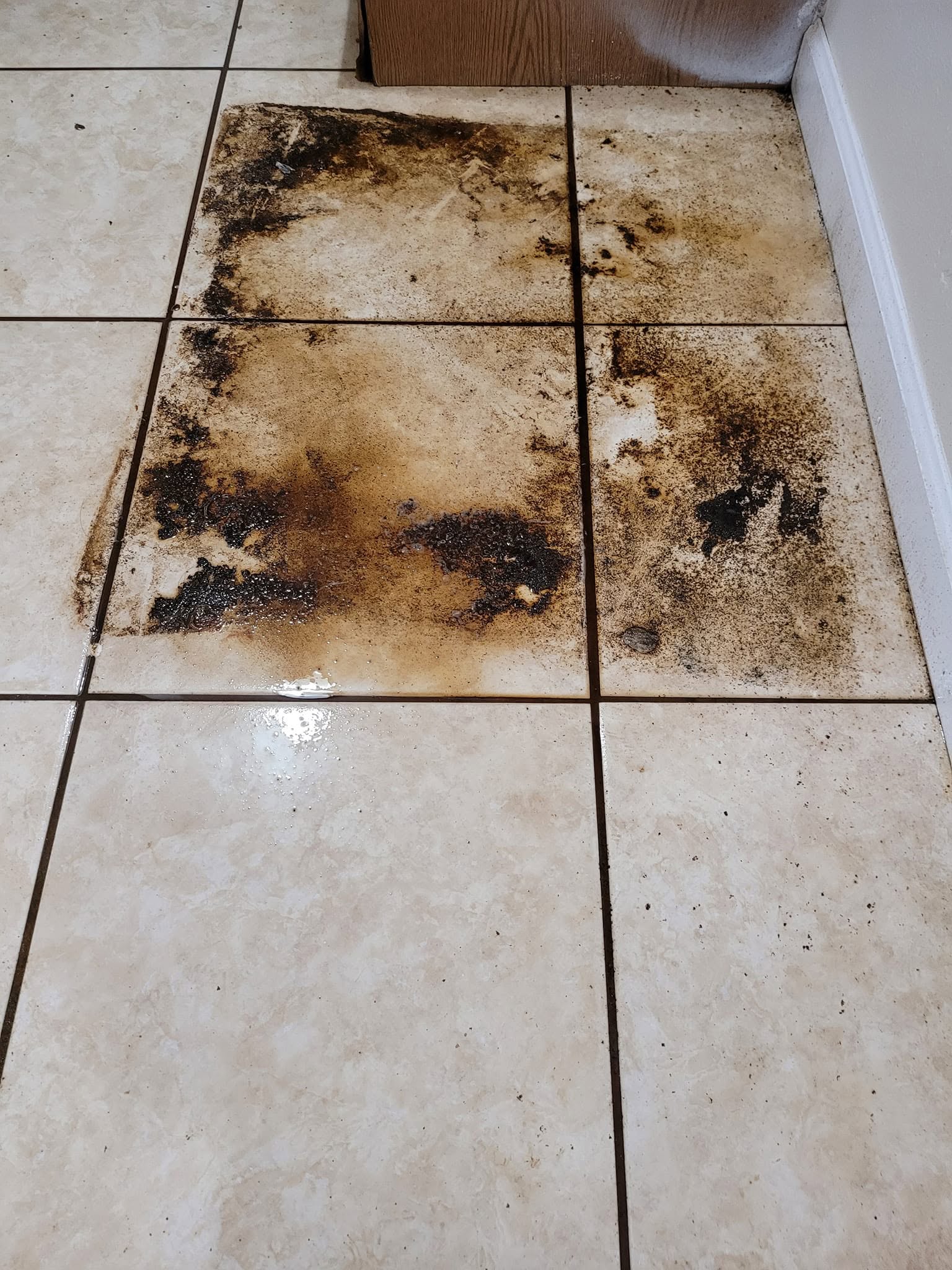 Tile grout heavily stained before Lud's cleaning